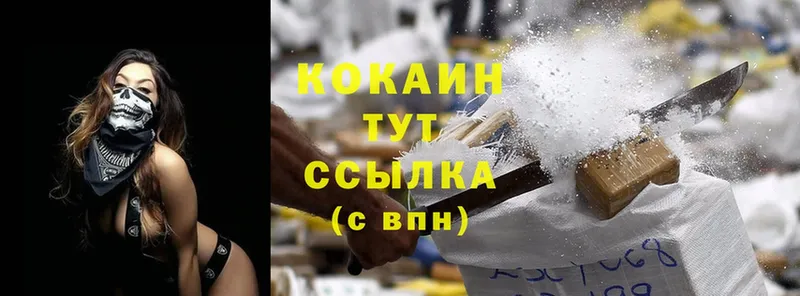 мега как зайти  Заречный  Cocaine Перу  дарнет шоп 